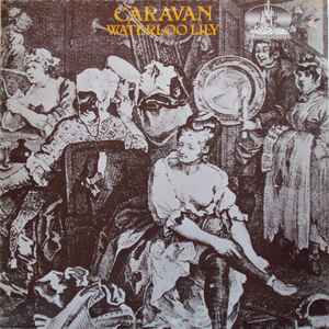 Caravan-Waterloo Lily